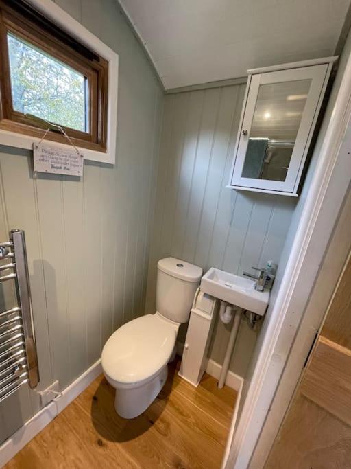 Forest View Shepherd Hut Ewhurst Buitenkant foto