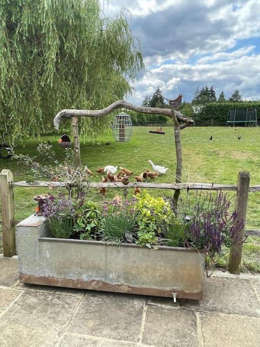 Forest View Shepherd Hut Ewhurst Buitenkant foto