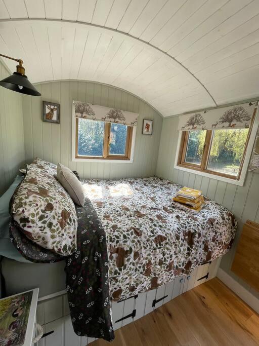 Forest View Shepherd Hut Ewhurst Buitenkant foto
