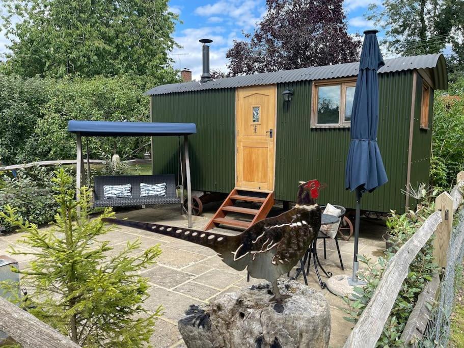 Forest View Shepherd Hut Ewhurst Buitenkant foto